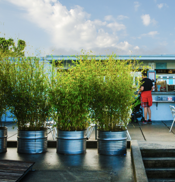 Captura de Tela 2017-06-16 às 15.43.08